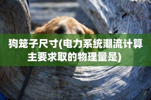 狗籠子尺寸(電力系統潮流計算主要求取的物理量是) 