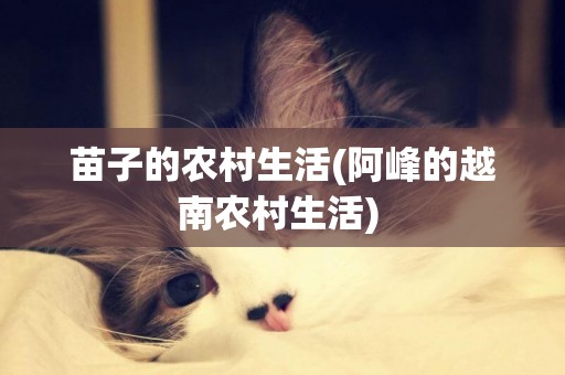 苗子的農村生活(阿峰的越南農村生活) 