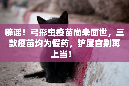 辟謠！弓形蟲疫苗尚未面世，三款疫苗均為假藥，鏟屎官別再上當！ 