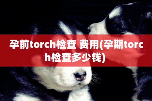 孕前torch檢查 費用(孕期torch檢查多少錢) 