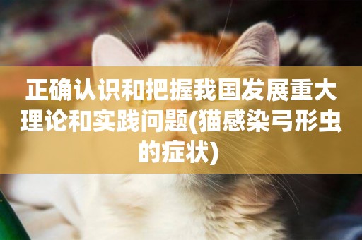 正確認識和把握我國發展重大理論和實踐問題(貓感染弓形蟲的癥狀) 