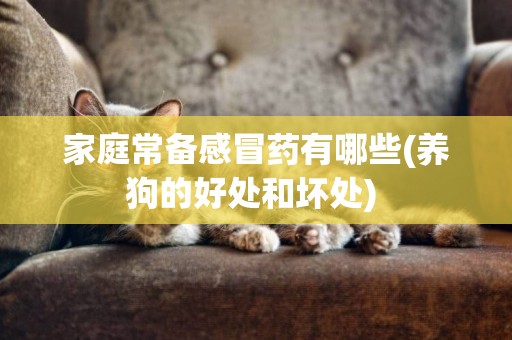 家庭常備感冒藥有哪些(養狗的好處和壞處) 