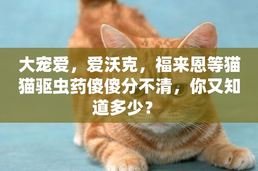 大寵愛，愛沃克，福來恩等貓貓驅蟲藥傻傻分不清，你又知道多少？ 