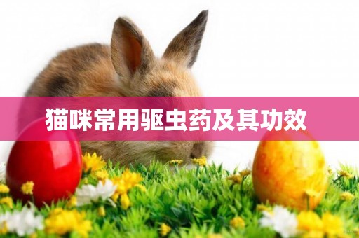 貓咪常用驅蟲藥及其功效 