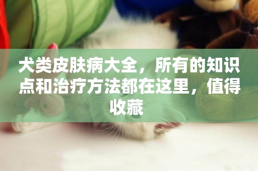 犬類皮膚病大全，所有的知識點和治療方法都在這里，值得收藏 