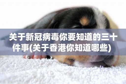 關于新冠病毒你要知道的三十件事(關于香港你知道哪些) 
