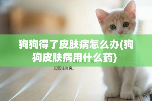 狗狗得了皮膚病怎么辦(狗狗皮膚病用什么藥) 
