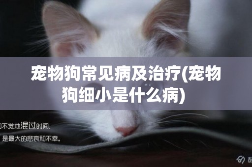 寵物狗常見病及治療(寵物狗細小是什么病) 