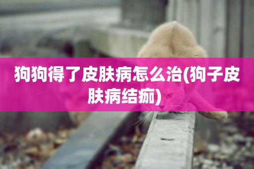 狗狗得了皮膚病怎么治(狗子皮膚病結痂) 