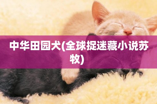 中華田園犬(全球捉迷藏小說蘇牧) 