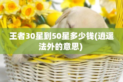 王者30星到50星多少錢(逍遙法外的意思) 