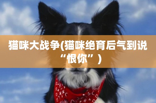 貓咪大戰爭(貓咪絕育后氣到說“恨你”) 