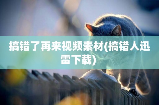 搞錯了再來視頻素材(搞錯人迅雷下載) 