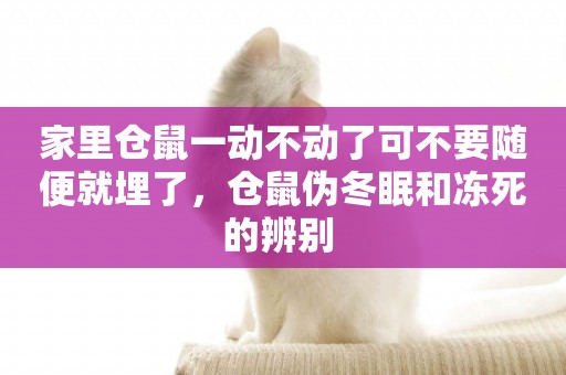 家里倉鼠一動不動了可不要隨便就埋了，倉鼠偽冬眠和凍死的辨別 