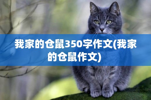 我家的倉鼠350字作文(我家的倉鼠作文) 