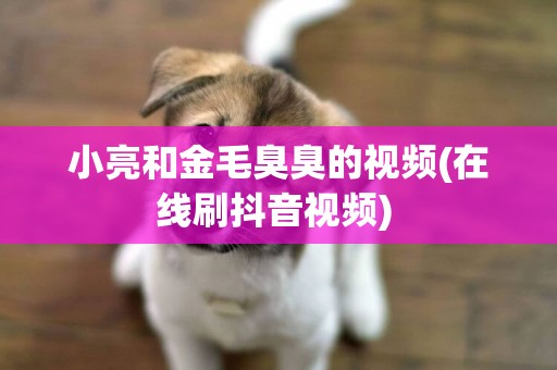 小亮和金毛臭臭的視頻(在線刷抖音視頻) 