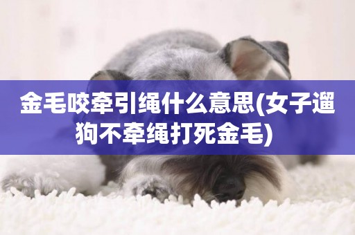 金毛咬牽引繩什么意思(女子遛狗不牽繩打死金毛) 
