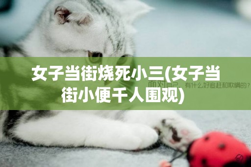 女子當街燒死小三(女子當街小便千人圍觀) 