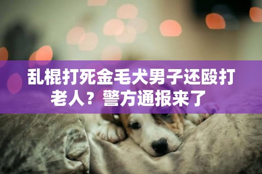 亂棍打死金毛犬男子還毆打老人？警方通報來了 