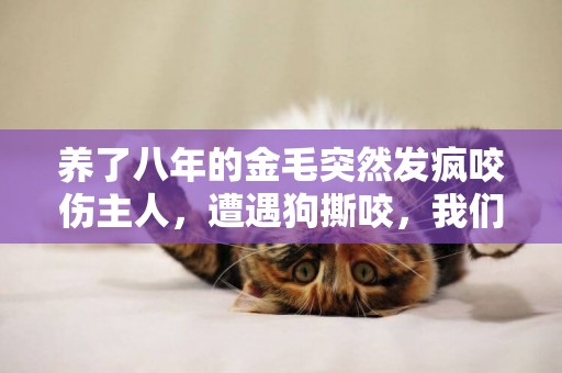 養了八年的金毛突然發瘋咬傷主人，遭遇狗撕咬，我們該如何自救？ 