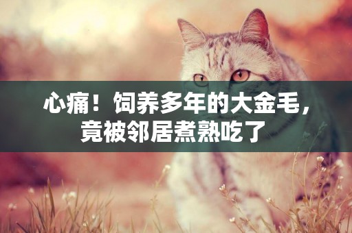 心痛！飼養多年的大金毛，竟被鄰居煮熟吃了 
