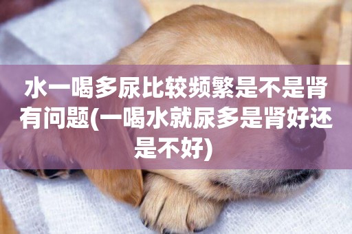 水一喝多尿比較頻繁是不是腎有問題(一喝水就尿多是腎好還是不好) 