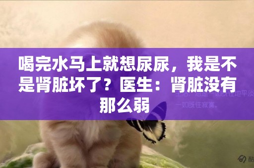 喝完水馬上就想尿尿，我是不是腎臟壞了？醫生：腎臟沒有那么弱 