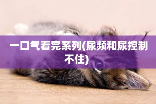 一口氣看完系列(尿頻和尿控制不住) 