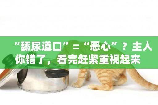 “舔尿道口”=“惡心”？主人你錯了，看完趕緊重視起來 