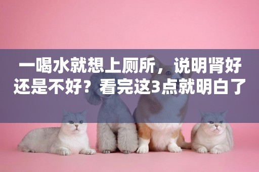 一喝水就想上廁所，說明腎好還是不好？看完這3點就明白了 