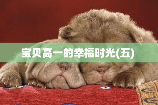 寶貝高一的幸福時光(五) 