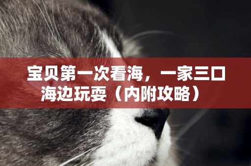 寶貝第一次看海，一家三口海邊玩耍（內附攻略） 