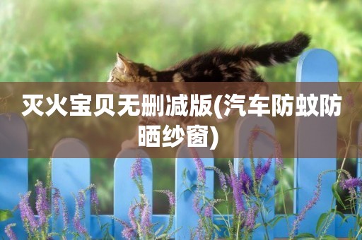 滅火寶貝無刪減版(汽車防蚊防曬紗窗) 