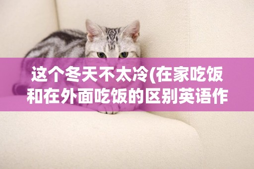 這個冬天不太冷(在家吃飯和在外面吃飯的區別英語作文) 
