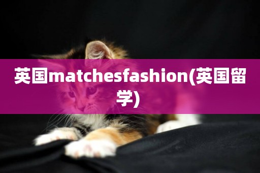 英國matchesfashion(英國留學) 