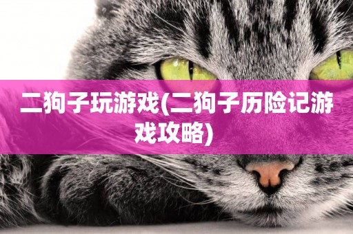 二狗子玩游戲(二狗子歷險記游戲攻略) 