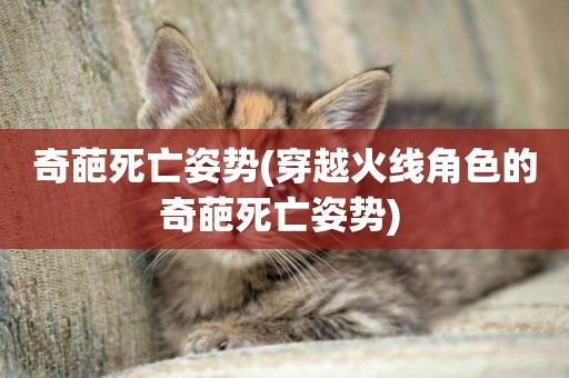奇葩死亡姿勢(穿越火線角色的奇葩死亡姿勢) 