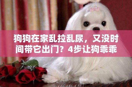狗狗在家亂拉亂尿，又沒時間帶它出門？4步讓狗乖乖上廁所 