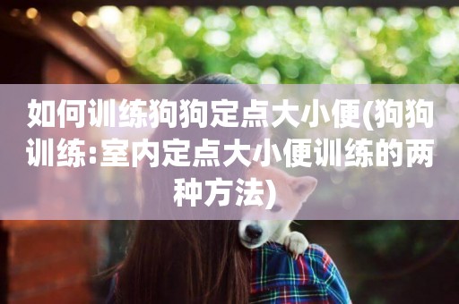 如何訓練狗狗定點大小便(狗狗訓練:室內定點大小便訓練的兩種方法) 