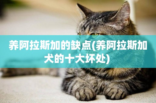 養阿拉斯加的缺點(養阿拉斯加犬的十大壞處) 
