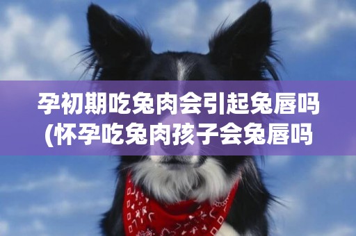 孕初期吃兔肉會引起兔唇嗎(懷孕吃兔肉孩子會兔唇嗎) 