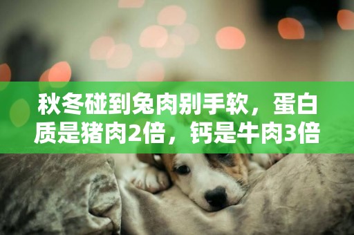 秋冬碰到兔肉別手軟，蛋白質是豬肉2倍，鈣是牛肉3倍，燉一鍋真香 