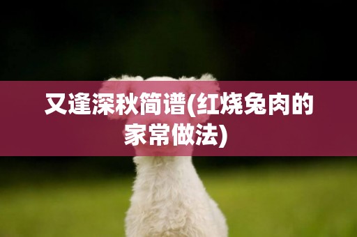 又逢深秋簡譜(紅燒兔肉的家常做法) 