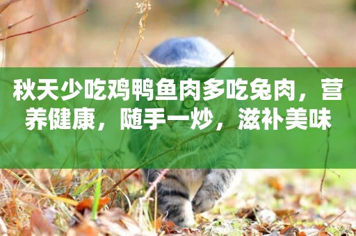 秋天少吃雞鴨魚肉多吃兔肉，營養健康，隨手一炒，滋補美味 