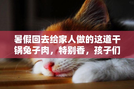 暑假回去給家人做的這道干鍋兔子肉，特別香，孩子們搶著吃 