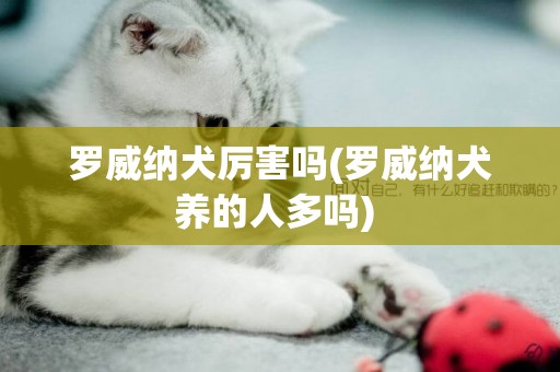 羅威納犬厲害嗎(羅威納犬養的人多嗎) 