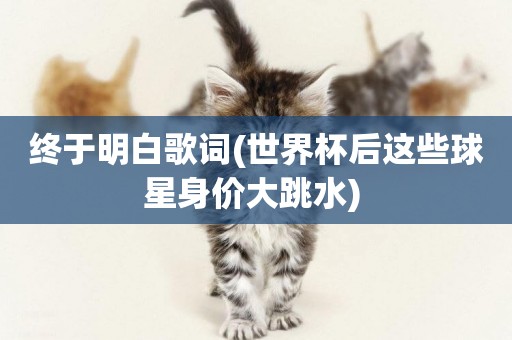 終于明白歌詞(世界杯后這些球星身價大跳水) 