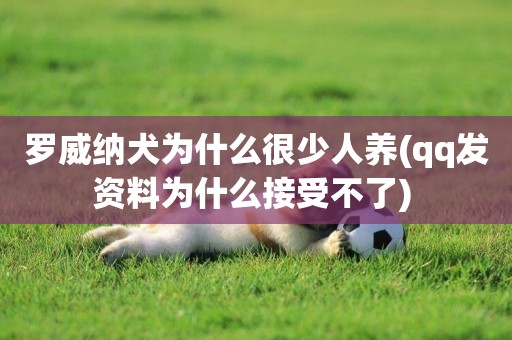羅威納犬為什么很少人養(qq發資料為什么接受不了) 