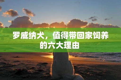 羅威納犬，值得帶回家飼養的六大理由 