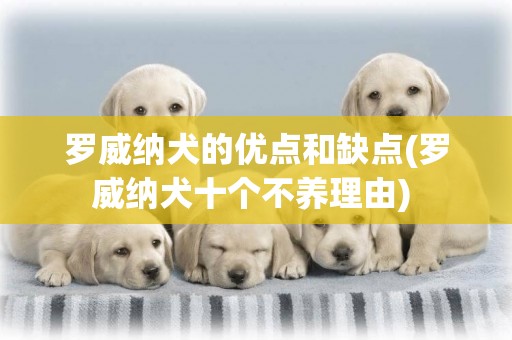 羅威納犬的優點和缺點(羅威納犬十個不養理由) 